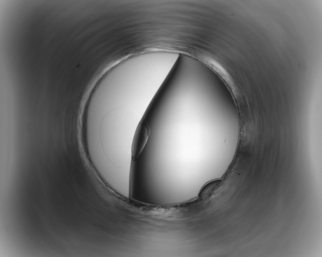 X0000088901146200706080821