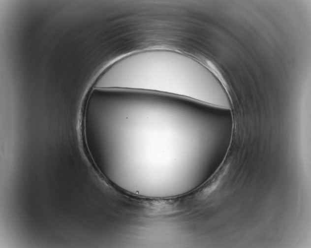 X0000088901149200706080821