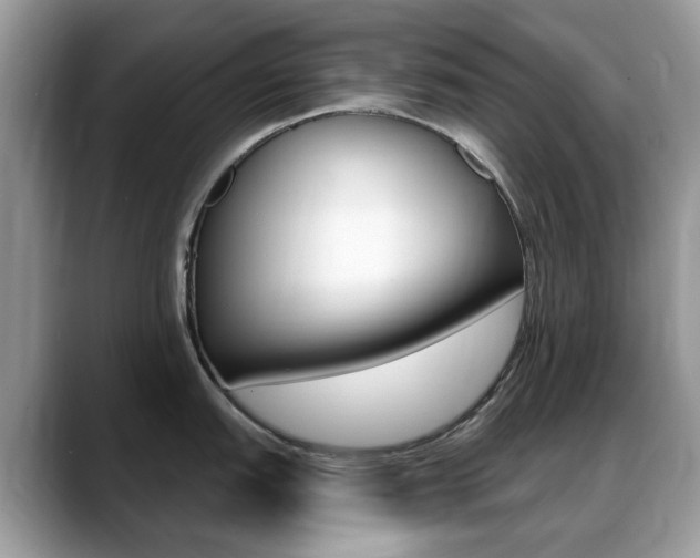 X0000088901151200706080821