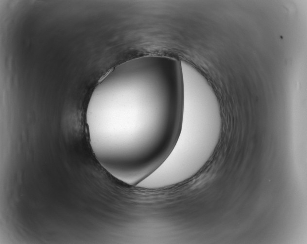 X0000088901156200706080821