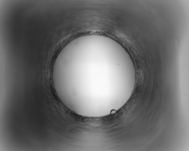 X0000088901158200706080821