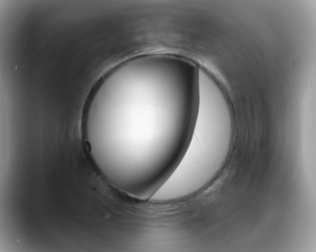 X0000088901173200706080820