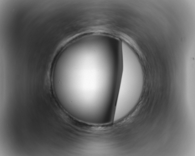 X0000088901176200706080820