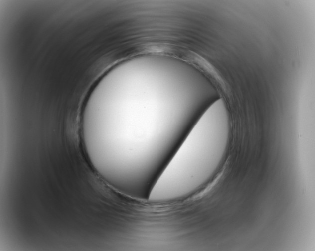 X0000088901178200706080820