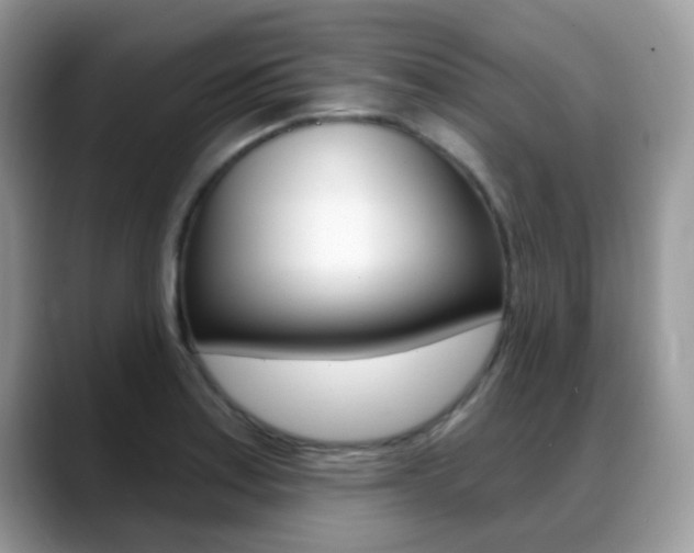 X0000088901179200706080820