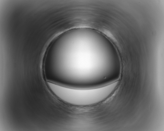 X0000088901181200706080820