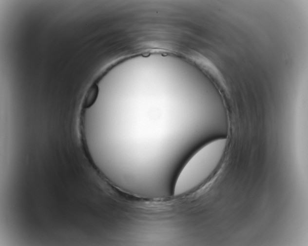 X0000088901182200706080820