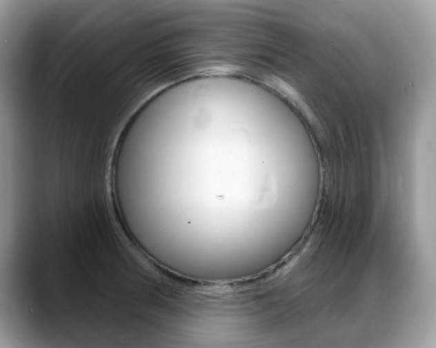 X0000088901186200706080820