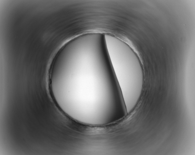 X0000088901187200706080820