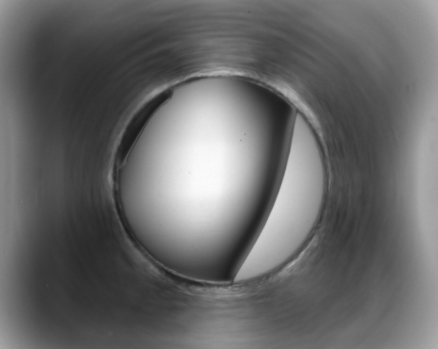 X0000088901189200706080820