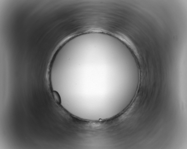X0000088901190200706080820
