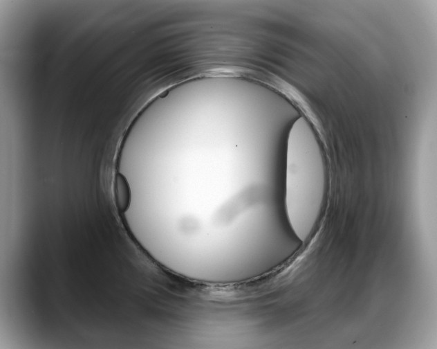 X0000088901194200706080820