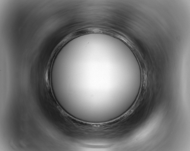 X0000088901198200706080820