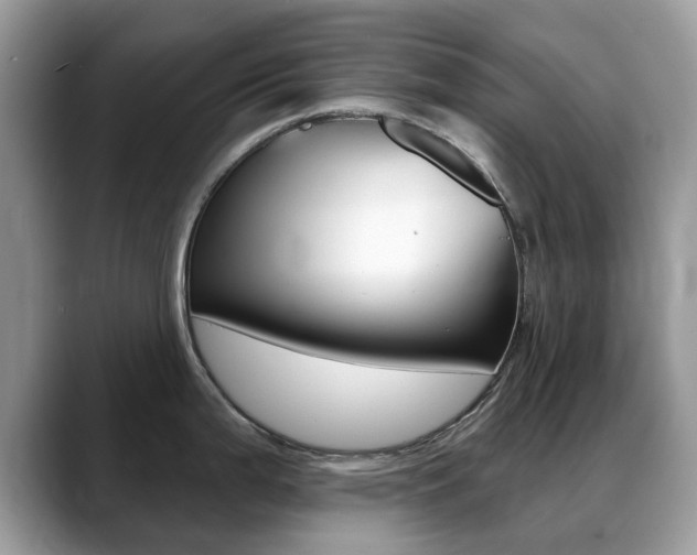 X0000088901199200706080820