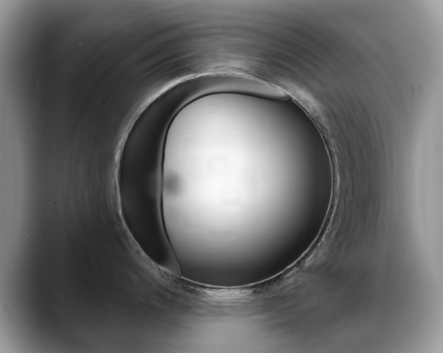 X0000088901200200706080820