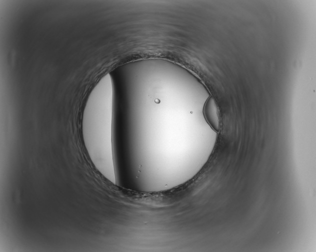 X0000088901201200706080819