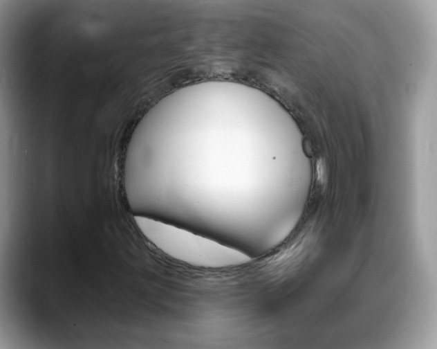 X0000088901203200706080820