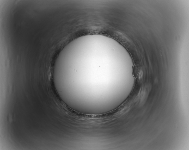 X0000088901204200706080820