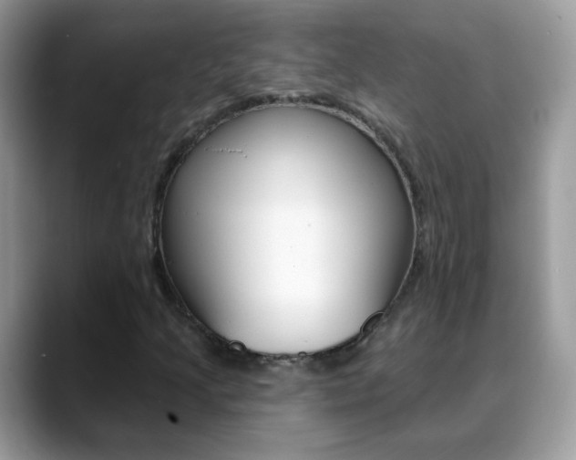 X0000088901205200706080820
