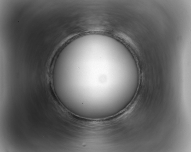 X0000088901212200706080820