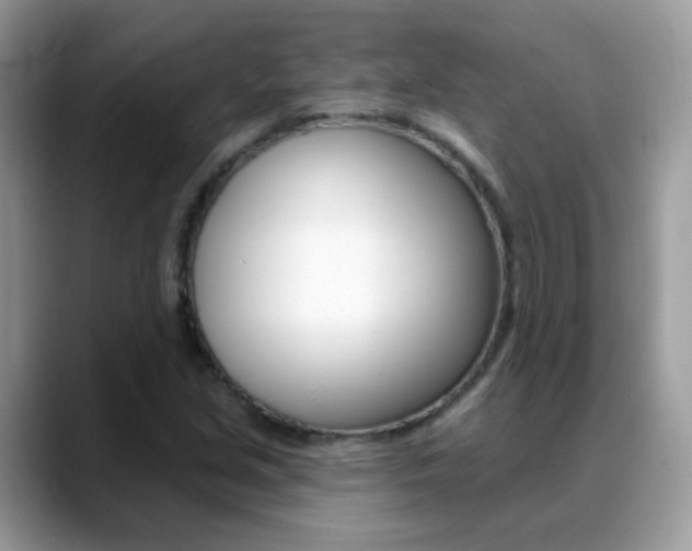 X0000088901213200706080820