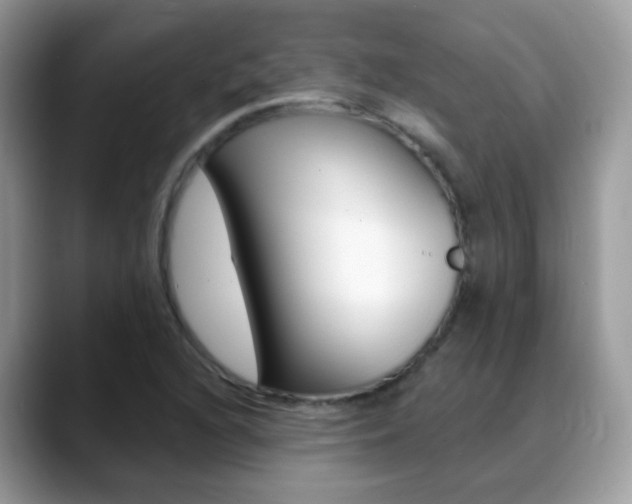 X0000088901216200706080820