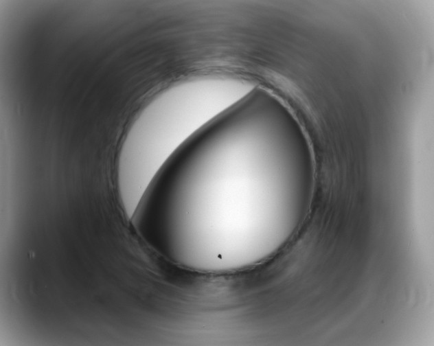 X0000088901217200706080820