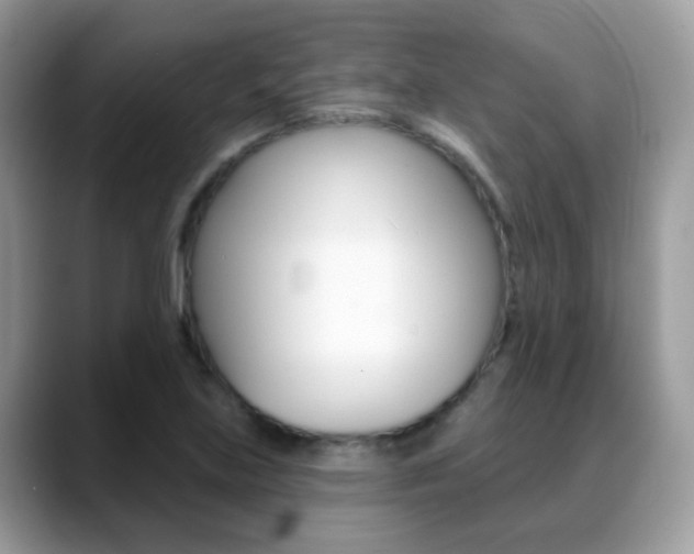 X0000088901219200706080820