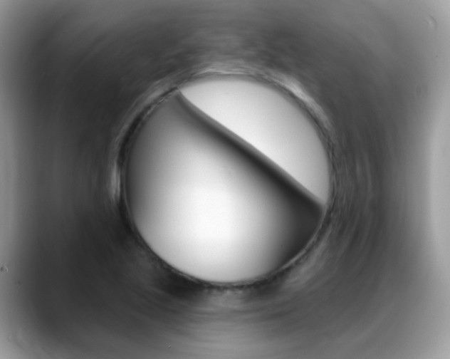 X0000088901221200706080820