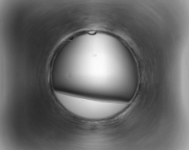 X0000088901224200706080820