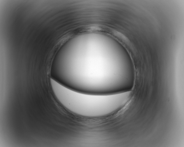 X0000088901225200706080820