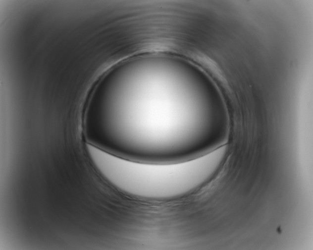 X0000088901226200706080820