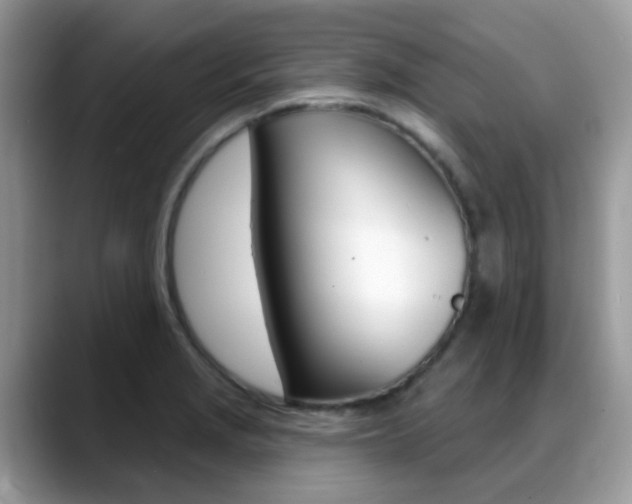 X0000088901229200706080820
