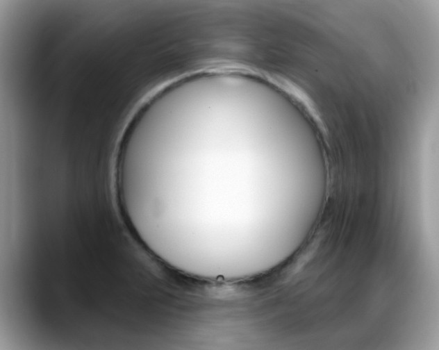 X0000088901231200706080820