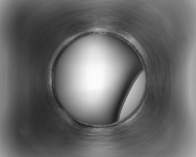 X0000088901232200706080820