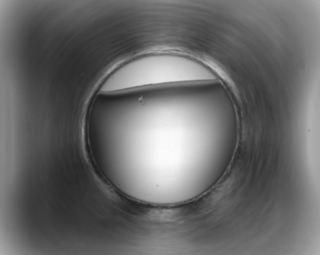 X0000088901237200706080820