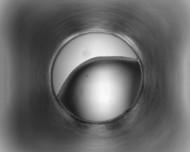 X0000088901238200706080820