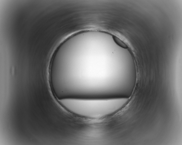 X0000088901239200706080820
