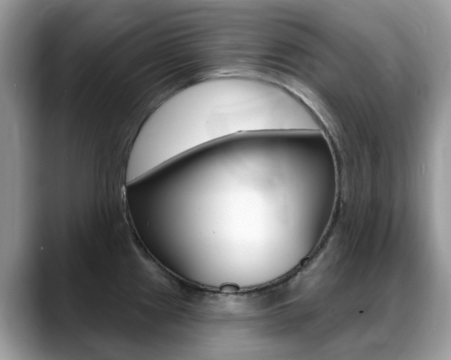 X0000088901241200706080820
