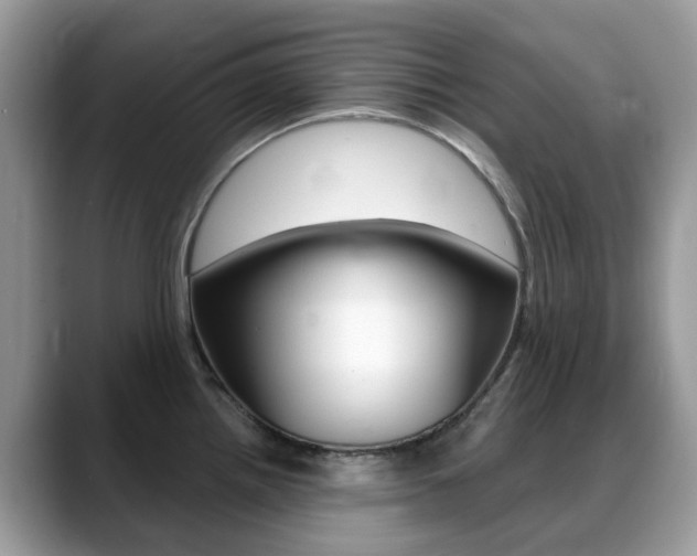 X0000088901242200706080820