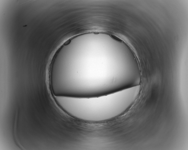 X0000088901243200706080820