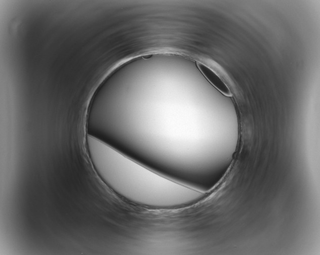 X0000088901244200706080820