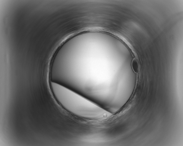 X0000088901245200706080820