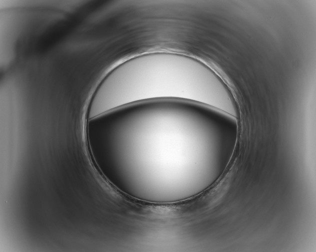 X0000088901246200706080820
