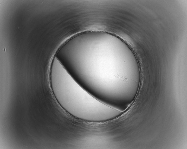 X0000088901248200706080820