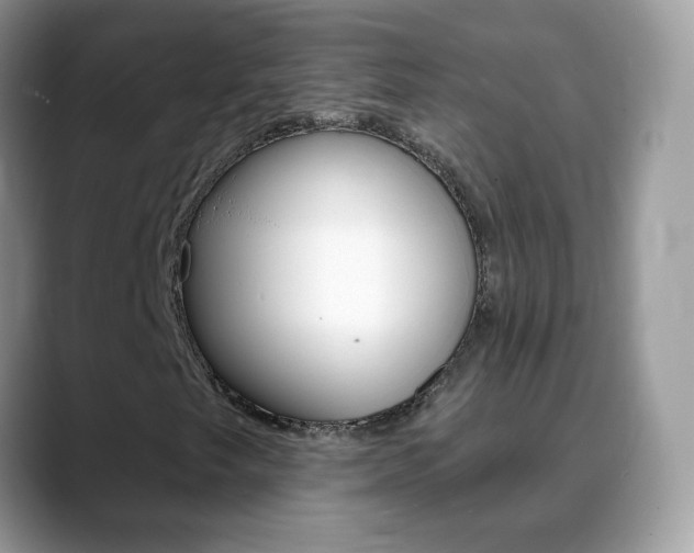 X0000088901249200706080819