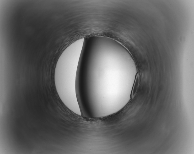 X0000088901250200706080819
