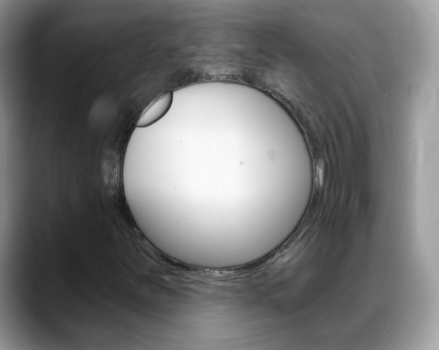 X0000088901251200706080819