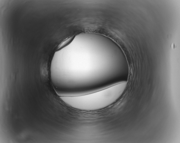 X0000088901252200706080819