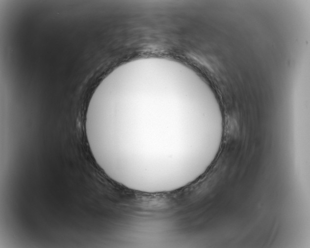 X0000088901254200706080819